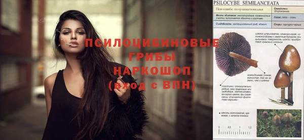 герыч Новозыбков