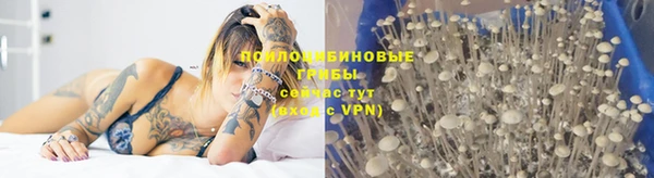 таблы Новокубанск