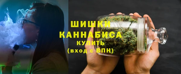 мдпв Карпинск