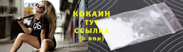 mdma Новодвинск