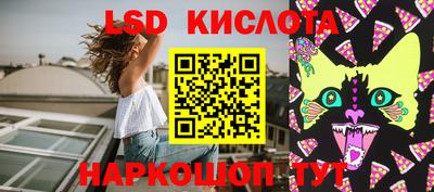 гидропоника Гатчина