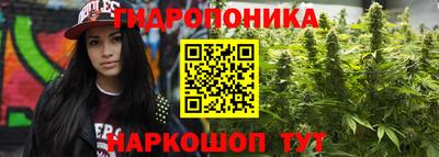 гидропоника Гатчина
