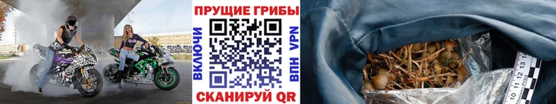 Галлюциногенные грибы Magic Shrooms  Кстово 