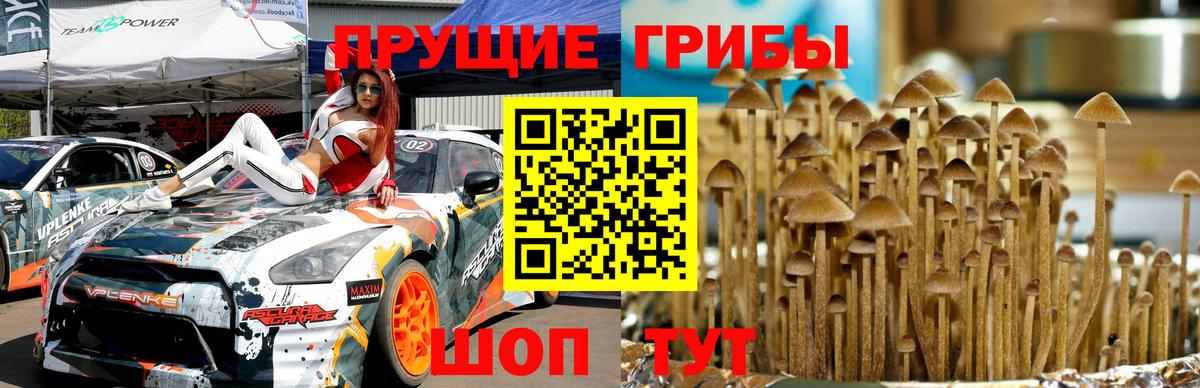 Галлюциногенные грибы мухоморы Кстово
