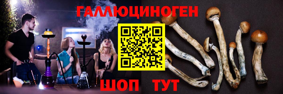 Кстово  Псилоцибиновые грибы ЛСД  Псилоцибиновые грибы MAGIC MUSHROOMS  хочу   Вход с VPN 